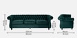 Phenomenal Velvet 3 Seater Sofa in Green Colour