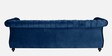 Phenomenal Velvet 3 Seater Sofa in Navy Blue Colour