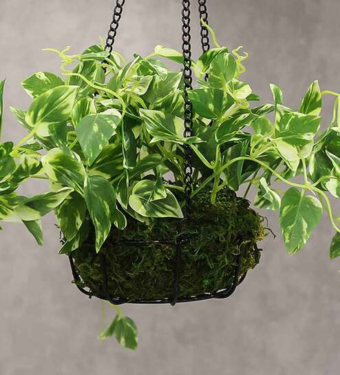 Photosphilo Polyester Artificial Alluring Hanging Creeper Plant with Hanging Metal Stand