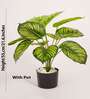 Artificial Philodendron Plant 55Cm