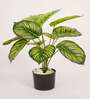 Artificial Philodendron Plant 55Cm