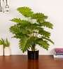 Artificial Philodendron Plant 65Cm