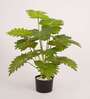 Artificial Philodendron Plant 65Cm