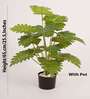 Artificial Philodendron Plant 65Cm