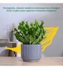 Phoenix Grey Ceramic Planter