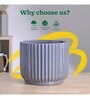 Phoenix Grey Ceramic Planter