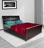 Phoenix Queen Size Bed with Storage in Dark Brown Colour
