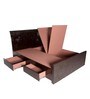 Phoenix Queen Size Bed with Storage in Dark Brown Colour