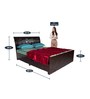 Phoenix Queen Size Bed with Storage in Dark Brown Colour