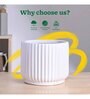 Phoenix White Ceramic Planter