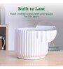 Phoenix White Ceramic Planter