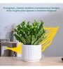 Phoenix White Ceramic Planter