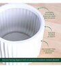 Phoenix White Ceramic Planter