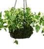Photosphilo Polyester Artificial Alluring Hanging Creeper Plant with Hanging Metal Stand