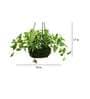 Photosphilo Polyester Artificial Alluring Hanging Creeper Plant with Hanging Metal Stand