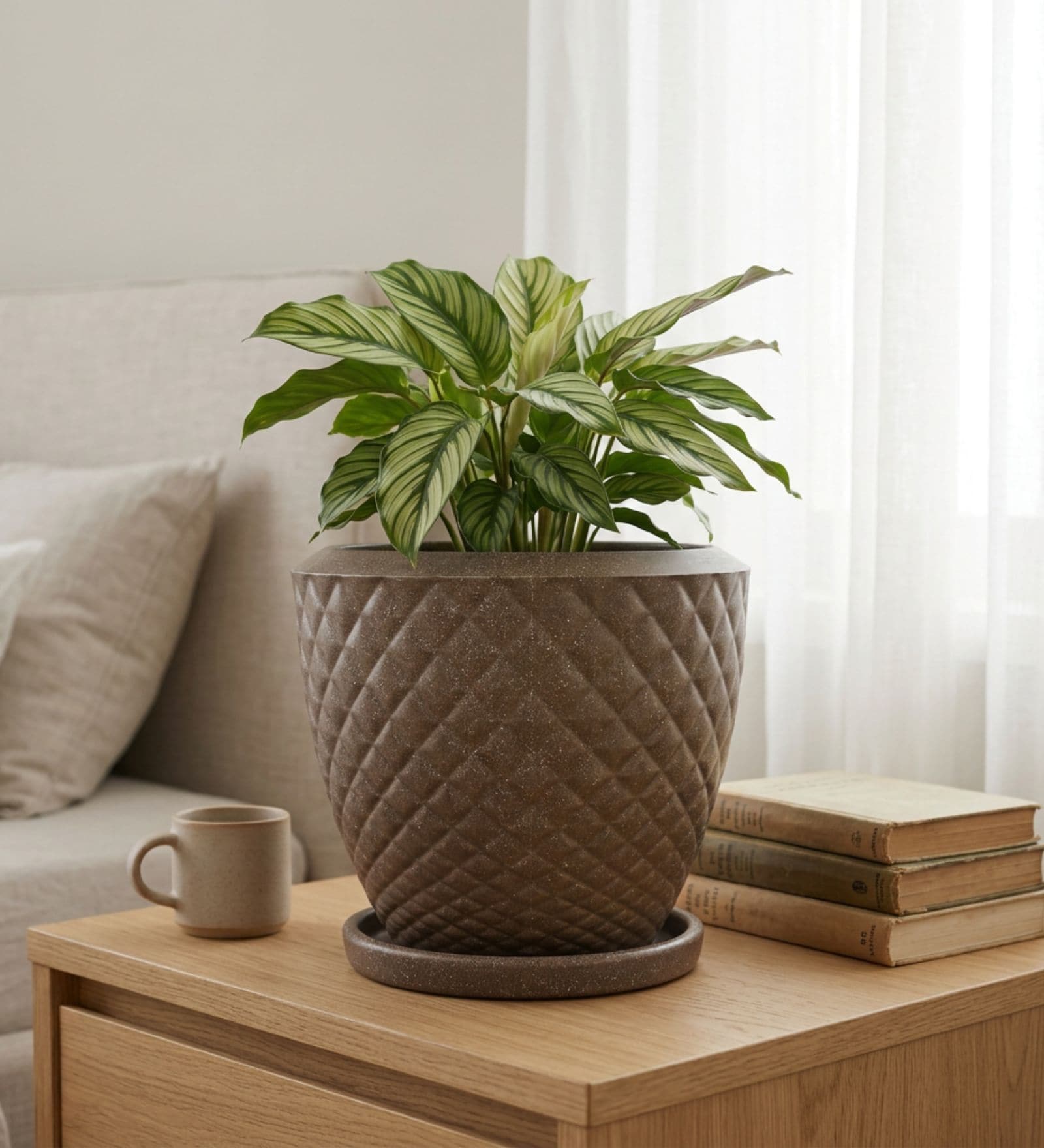 PINE Choco Brown 12 Inch German Polymer Round Plant Container With Saucer
