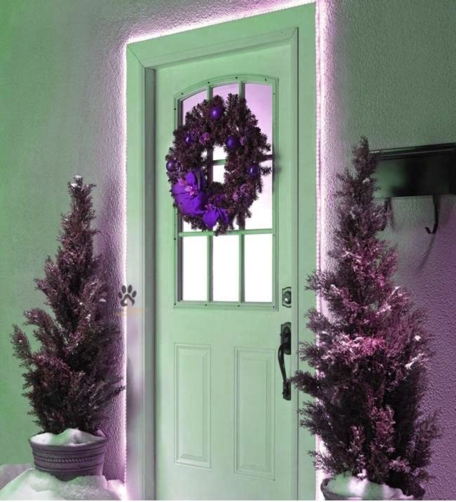 Pink 5 Mtrs Waterproof Direct Plug-In LED Rope Strip Light