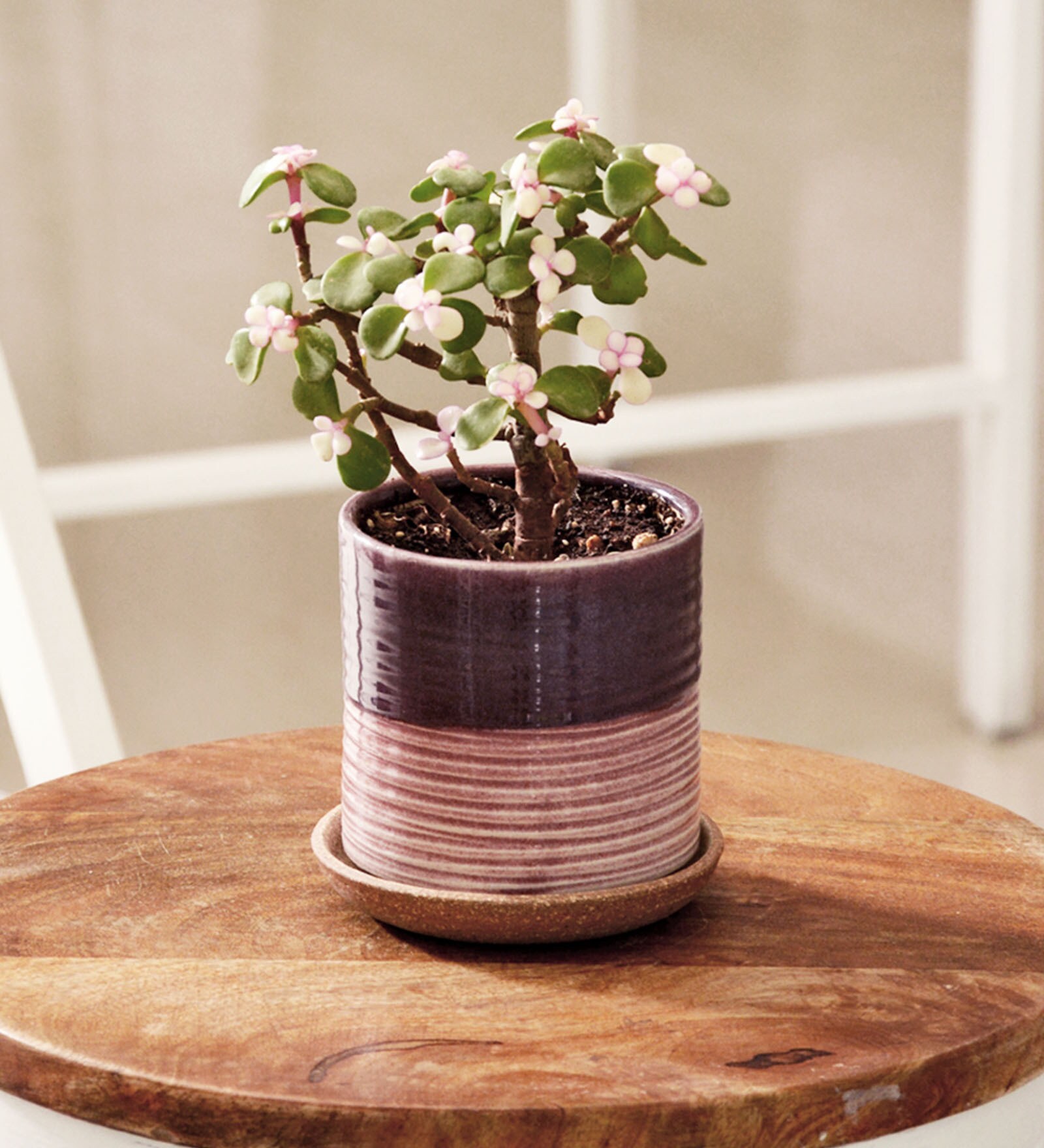 Pink Hand Made Ceramic Pot & Base Plate