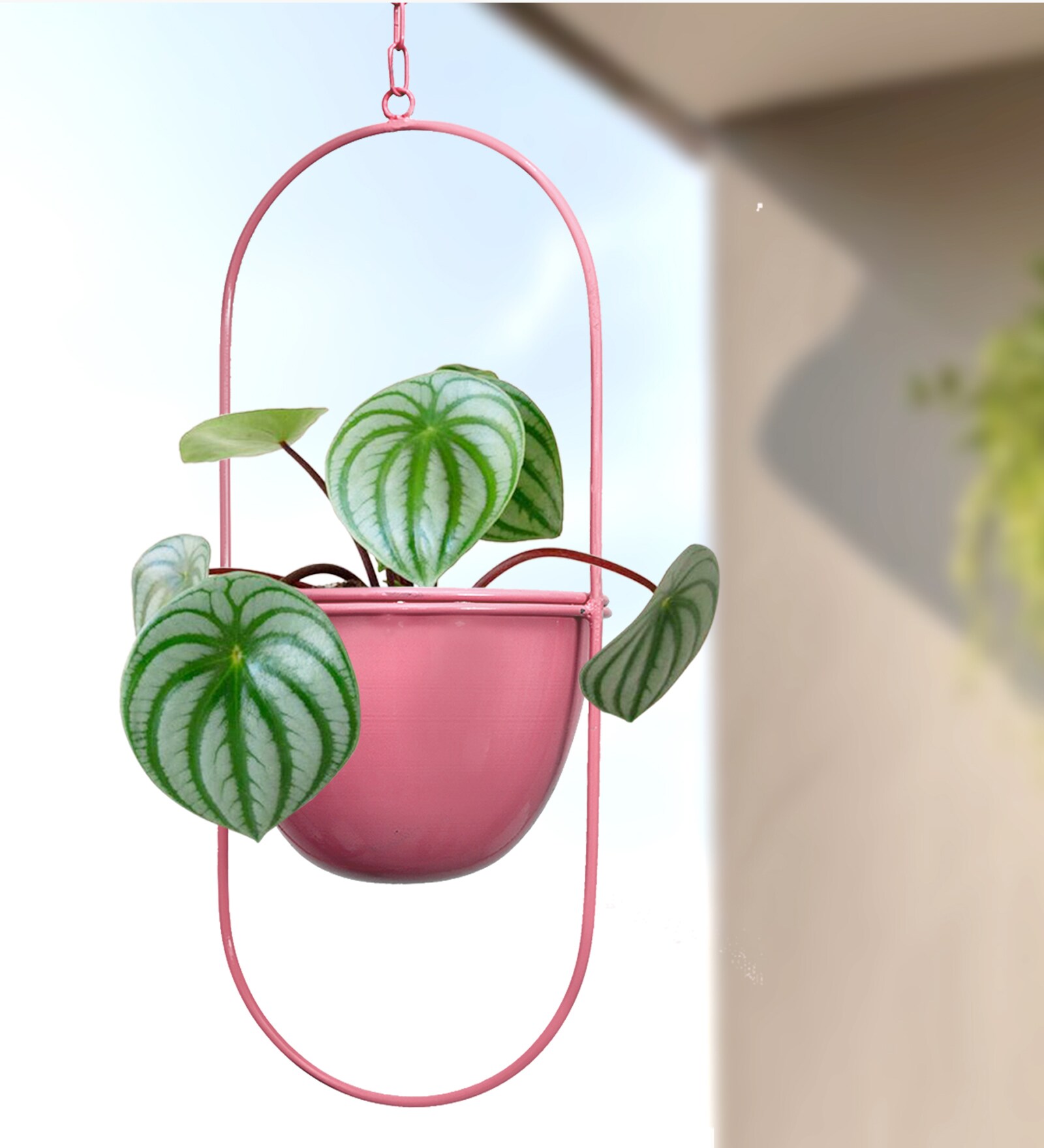 (1Pc) Pink Hanging Metal Plant Stand