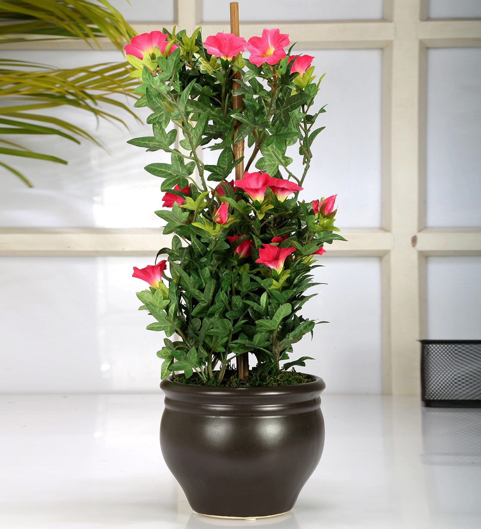Polyester Pink Morning Glory Bonsai With Ceramic Vase Artificial Plants
