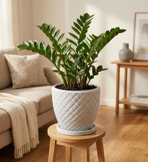 PINE Marble White 12 Inch German Polymer Round Plant Container With Saucer