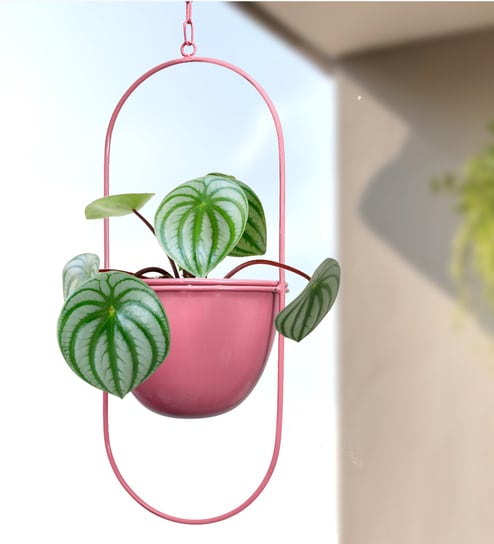 (1Pc) Pink Hanging Metal Plant Stand