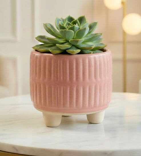 Pink  3.5-Inch Ceramic Flower Pot