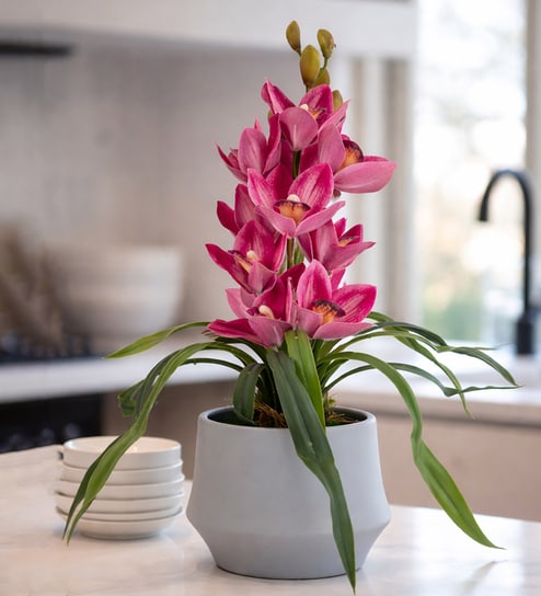 Pink Pu Foam Velvet Orchid Elegance Pot With Flower