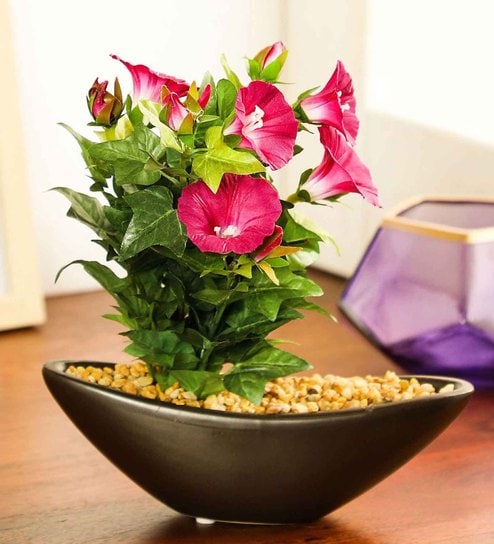 Pink Pvc Morning Glory Artificial Bonsai With Brown Ceramic Pot
