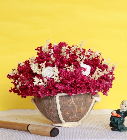 Pink Sola Natural Dried Flowers On Coconut Shell Decorated With Coir