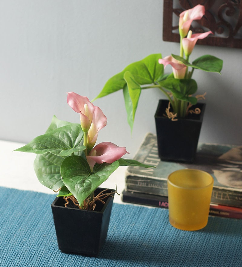 Buy Pink Artificial Calla Lily Bonsai Plant In Melamine Pot By