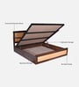 Piccadilly Sheesham Wood Queen Size Bed In Dual Tone Finish With Hydraulic Storage