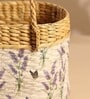 Picnic Baskets | Lunch Bag | Jute Baskets | Cane Basket for Gifting | Seagrass Tiffin Basket (Design 01)