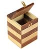 Pine And Sheesham Wood Handcrafted Square Piggy Bank