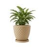 PINE Beige 12 Inch German Polymer Round Plant Container With Saucer