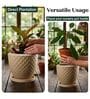 PINE Beige 12 Inch German Polymer Round Plant Container With Saucer