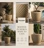 PINE Beige 12 Inch German Polymer Round Plant Container With Saucer
