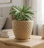 PINE Beige 12 Inch German Polymer Round Plant Container With Saucer