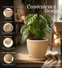 PINE Beige 12 Inch German Polymer Round Plant Container With Saucer