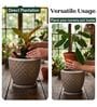 PINE Choco Brown 12 Inch German Polymer Round Plant Container With Saucer