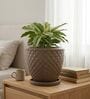 PINE Choco Brown 12 Inch German Polymer Round Plant Container With Saucer