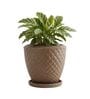 PINE Choco Brown 12 Inch German Polymer Round Plant Container With Saucer