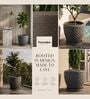 PINE Grey 12 Inch German Polymer Round Plant Container With Saucer