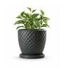PINE Grey 12 Inch German Polymer Round Plant Container With Saucer