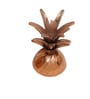 Pine Jar 1000ml Gold Colour Metal Jar Container