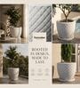 PINE Marble White 12 Inch German Polymer Round Plant Container With Saucer