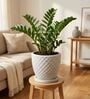 PINE Marble White 12 Inch German Polymer Round Plant Container With Saucer