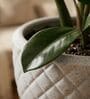 PINE Marble White 12 Inch German Polymer Round Plant Container With Saucer