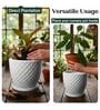 PINE Marble White 12 Inch German Polymer Round Plant Container With Saucer