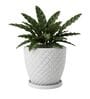 PINE Marble White 12 Inch German Polymer Round Plant Container With Saucer